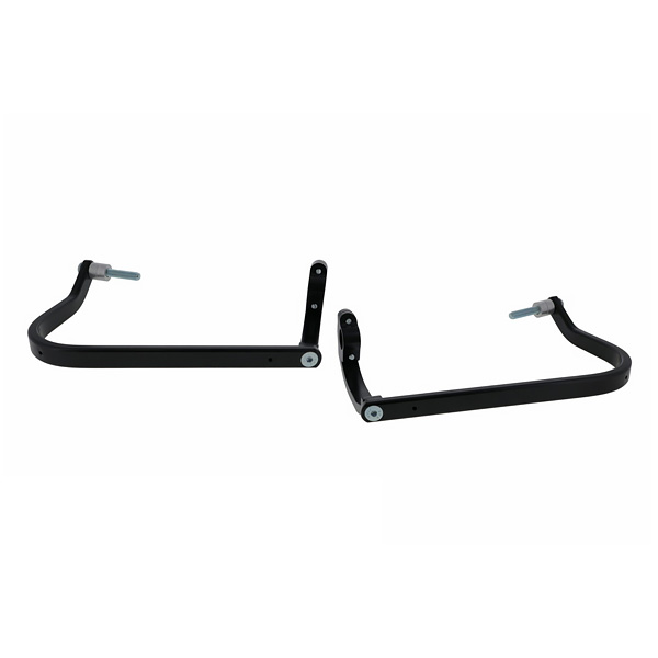 Daisy on the Ohoopee